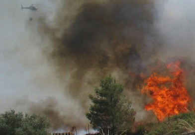 Três incêndios no Algarve Três incêndios no Algarve