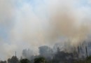 Incêndios: dia de muito trabalho para os bombeiros algarvios