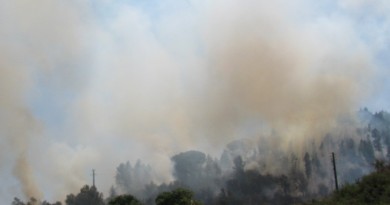 Incêndios no Algarve mobilizam dezenas de bombeiros e dois meios aéreos