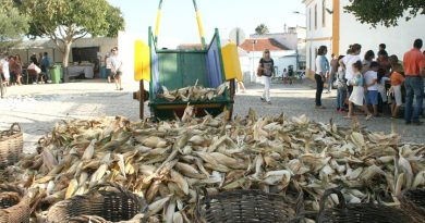 Xerém de berbigão, artesanato, desfolhada e baile: o melhor da cultura algarvia sai à rua