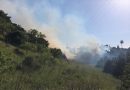 Vários incêndios no Algarve
