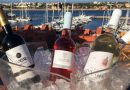 Mais vinho e de boa qualidade no Algarve