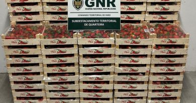 GNR apreende 212 quilos de morangos