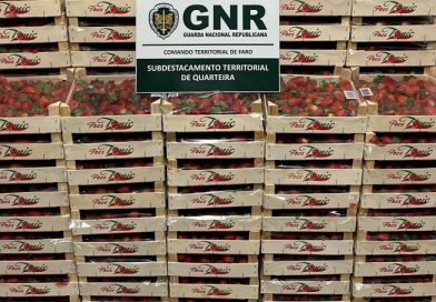 GNR apreende 212 quilos de morangos