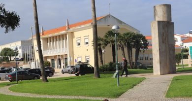 Ofertas de emprego no Algarve: esta câmara quer contratar 12 pessoas