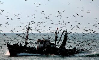 barco_pesca_foto_do_dia_jce