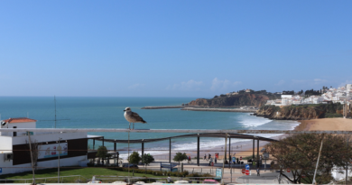 Uma festa muito especial e mais um dia para comer berbigão. Vai ser assim o dia no Algarve (quarta-feira, 19 de agosto)