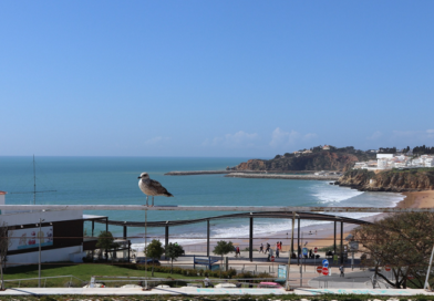 Uma festa muito especial e mais um dia para comer berbigão. Vai ser assim o dia no Algarve (quarta-feira, 19 de agosto)