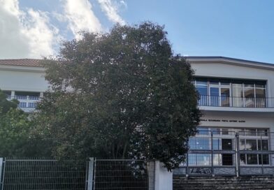 Escolas de Portimão: Sindicato ameaça voltar à greve em setembro