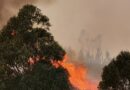 Incêndio na serra algarvia (em atualização) Incêndio na serra algarvia (em atualização)