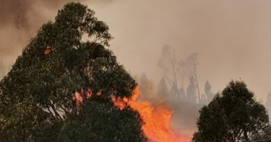 Incêndio na serra algarvia (em atualização)