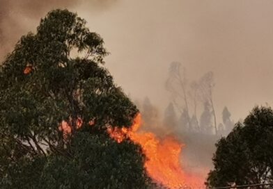 Incêndio na serra algarvia (em atualização)