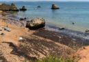 Guerra às algas nas praias. Vai ser assim o dia no Algarve (segunda-feira, 31 de agosto)