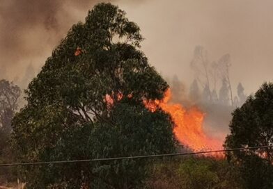 Mais de uma centena de bombeiros apoiados por 6 meios aéreos combatem incêndio na serra algarvia (em atualização) Mais de uma centena de bombeiros apoiados por 6 meios aéreos combatem incêndio na serra algarvia (em atualização)
