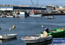 Veja qual o preço médio das principais espécies de peixe nas lotas do Algarve