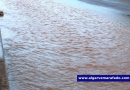 Novas lojas e risco de inundações. Vai ser assim o dia no Algarve (sábado, 24 de outubro)