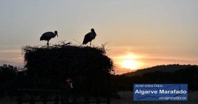 Calor e poeiras. O tempo que vamos ter no Algarve este sábado (23 de maio)