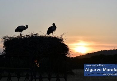 Calor e poeiras. O tempo que vamos ter no Algarve este sábado (23 de maio)