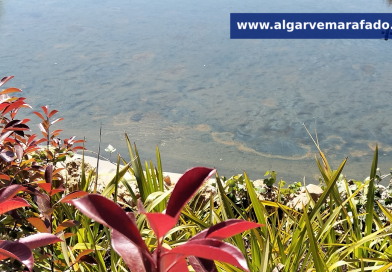 Investimento de 13 milhões de euros. Vai ser assim o dia no Algarve (2ª feira, 20 de abril)