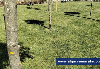 Maior ETAR da Europa em água reutilizada para rega de espaços verdes e golfe fica… no Algarve