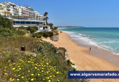 Foto do dia: atum é o culpado do nome desta vila algarvia