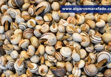 Neste concelho algarvio há uma rota do caracol por descobrir