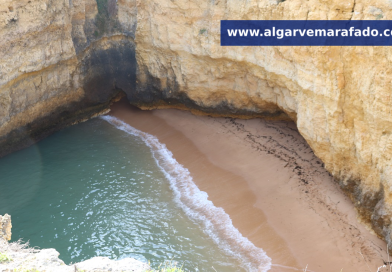 Ninho da Andorinha: ações de sensibilização numa das praias mais singulares de Albufeira