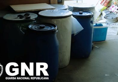 GNR apreende aguardente de medronho e dinheiro