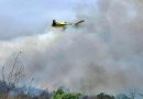 Incêndio, grande parque verde e estátua de Joaquim Agostinho. Vai ser assim o dia no Algarve (domingo, 3 de maio)