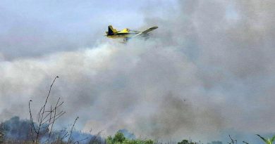 Incêndio, grande parque verde e estátua de Joaquim Agostinho. Vai ser assim o dia no Algarve (domingo, 3 de maio)