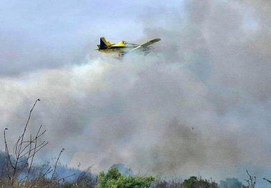 Incêndio, grande parque verde e estátua de Joaquim Agostinho. Vai ser assim o dia no Algarve (domingo, 3 de maio)