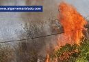 Incêndio mobiliza dezenas de operacionais no Algarve (em atualização)