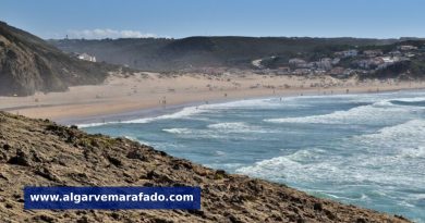 Investimento nos passadiços da melhor praia da Europa, que fica no Algarve Investimento nos passadiços da melhor praia da Europa, que fica no Algarve
