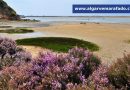 O tempo vai estar assim no Algarve este sábado (16 de maio)