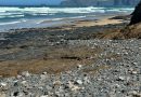 Praias perdem areia neste concelho algarvio. Menos espaço para banhistas e escolas de surf