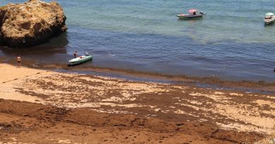 Invasão de volta: algas tomam conta de algumas praias algarvias (com vídeo)