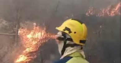 Maior fogo do ano no Algarve: ardeu em 25 horas metade do total registado em 2025