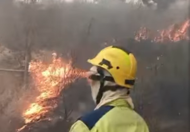 Maior fogo do ano no Algarve: ardeu em 25 horas metade do total registado em 2025