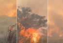 Incêndio continua a mobilizar mais de três centenas de bombeiros (com fotos)