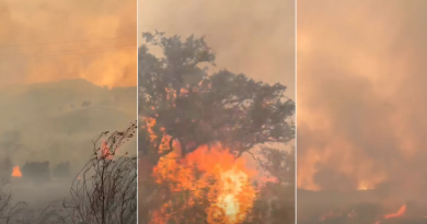 Incêndio continua a mobilizar mais de três centenas de bombeiros (com fotos) Incêndio continua a mobilizar mais de três centenas de bombeiros (com fotos)