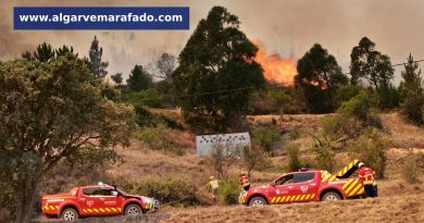 Mais um incêndio no Algarve (em atualização) Mais um incêndio no Algarve (em atualização)