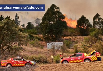 Mais um incêndio no Algarve (em atualização) Mais um incêndio no Algarve (em atualização)