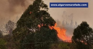 Grande incêndio obriga a corte da Nacional 2