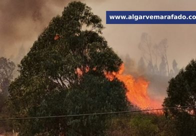 Grande incêndio obriga a corte da Nacional 2