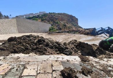 Algas nas praias: Vila do Bispo limpa areais. Fenómeno afeta mais municípios algarvios