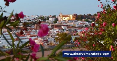 Abre loja e encerram (temporariamente) piscinas. Vai ser assim o dia no Algarve (terça-feira, 11 de agosto)