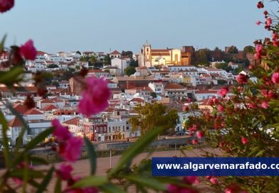 Lince: Silves investe quase dois milhões em centro interpretativo