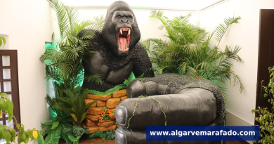 Isto é um gorila real ou um bolo gigante? Descubra em Lagoa (com fotos)