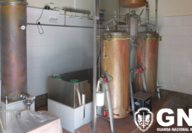 Silves: 1 100 litros de aguardente de medronho apreendidos pela GNR