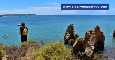 Mais calor. Tempo e temperatura do mar no Algarve esta 4ª feira (15 de julho)